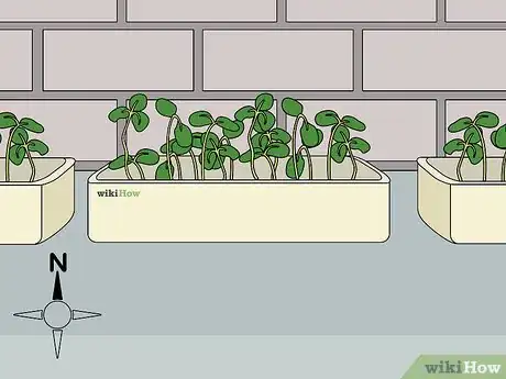 Image titled Harvest American Cress Step 2