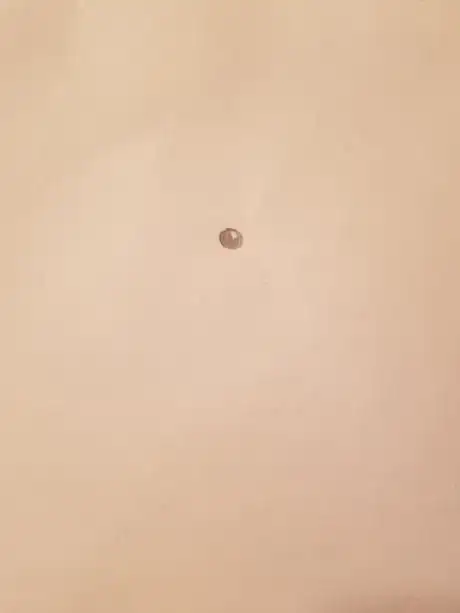 Image titled Raccoon1