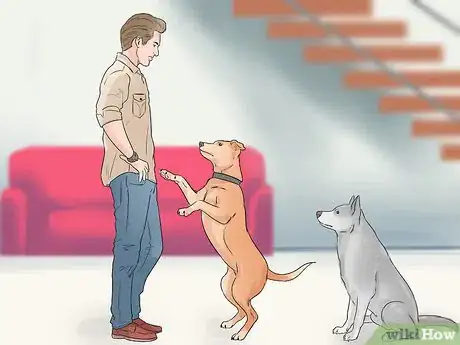 Image titled Identify and Correct Unwanted Dog Behaviors Step 1