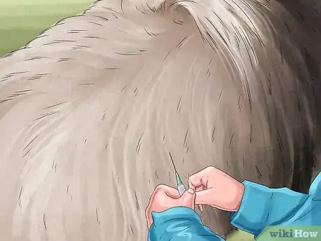 Image titled Find a Mobile Veterinary Service Step 12