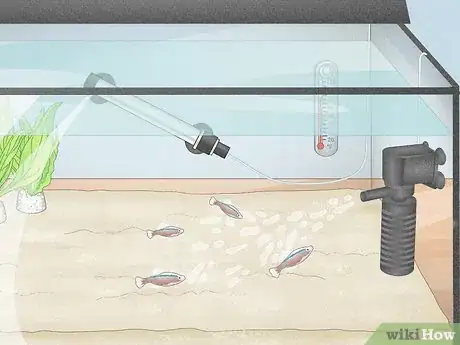 Image titled Prevent Algae Growth in a Freshwater Aquarium Step 3