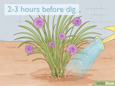 Image titled Grow Chives Indoors Step 8