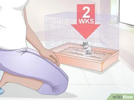 Image titled Deal With a Mean Hamster Step 1