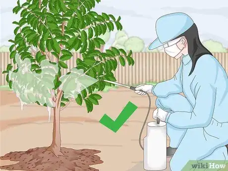 Image titled Plant Guanabana Seeds Step 23