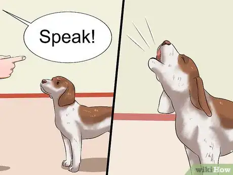 Image titled Teach Your Dog to Speak Step 11
