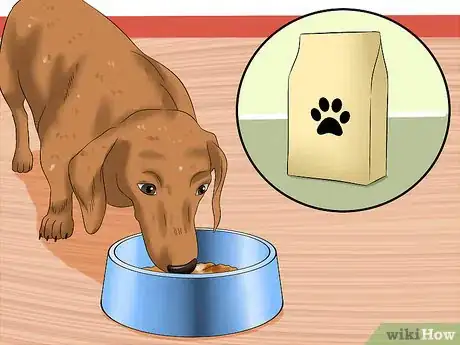 Image titled Protect Your Dog from Holiday Hazards Step 11