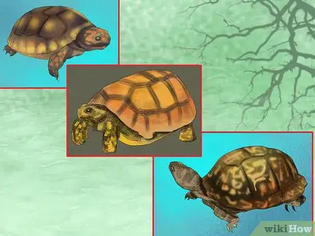 Image titled Choose the Right Reptile as a Pet Step 3