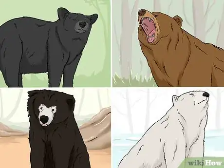 Image titled Survive a Bear Attack Step 1