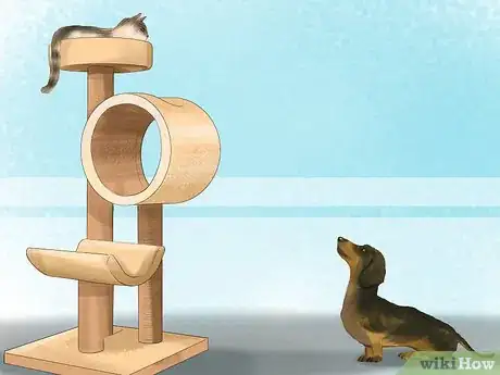 Image titled Make a Cat and Dog Get Along Step 13