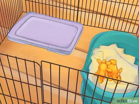 Image titled Keep a Puppy Out of Trouble Step 13