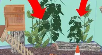 Furnish a Vivarium for Your Exotic Rodent