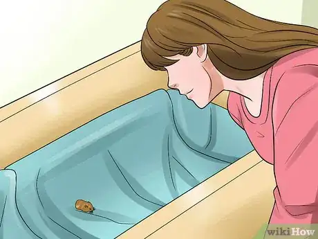 Image titled Tame an Older Hamster Step 16