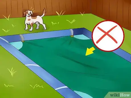 Image titled Protect Your Dog Around Backyard Pools Step 4