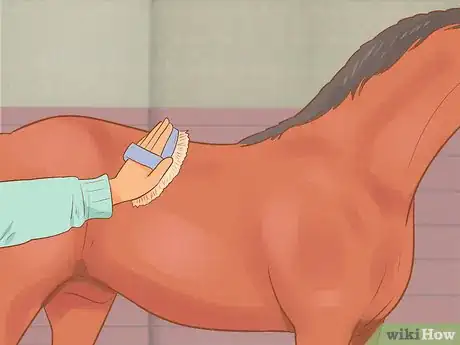 Image titled Put on an English Saddle Properly Step 1