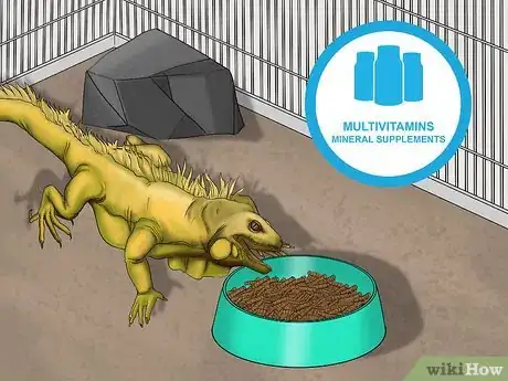 Image titled Help a Shedding Pet Reptile Step 14