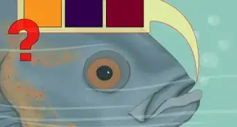 Use Color When Fly Fishing