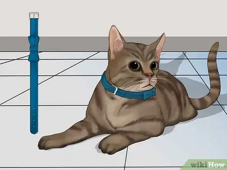 Image titled Avoid Losing Your Cat Step 2