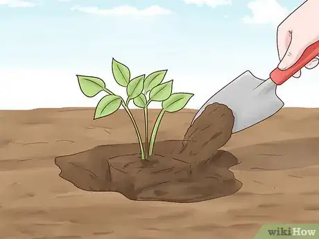 Image titled Plant Landscape Plants Step 17