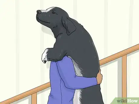 Image titled Treat Lameness in Dogs Step 5