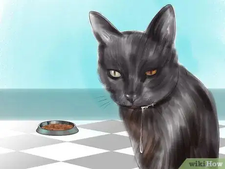 Image titled Diagnose Feline Hepatic Lipidosis Step 4