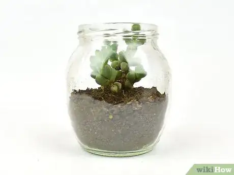 Image titled Decorate With Glass Jars Step 8