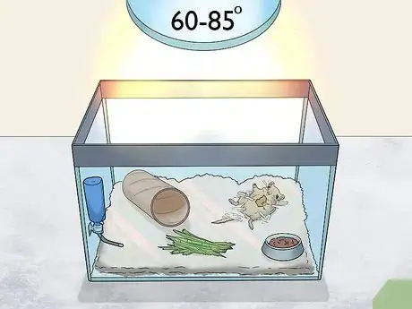 Image titled Make a Comfortable Gerbil Home Step 11
