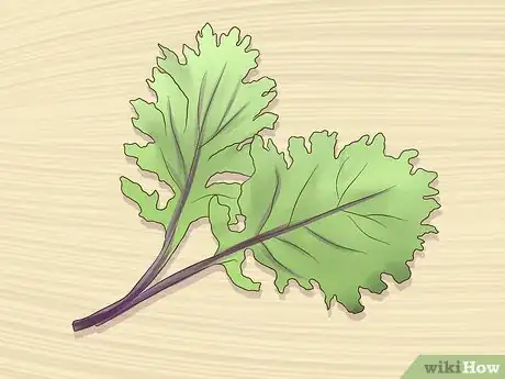 Image titled Shop for Kale Step 7