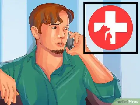 Image titled Treat Behavior Problems in Older Cats Step 14