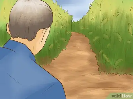Image titled Find Your Way Through a Corn Maze Step 1