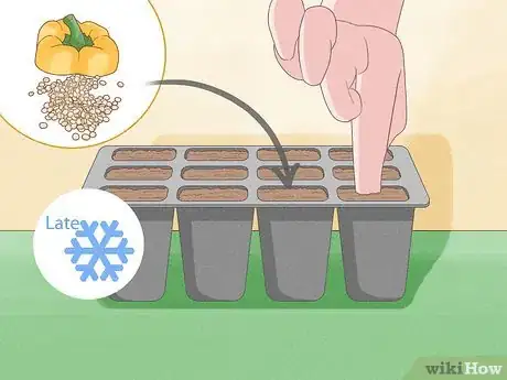 Image titled Grow Sweet Peppers Step 2