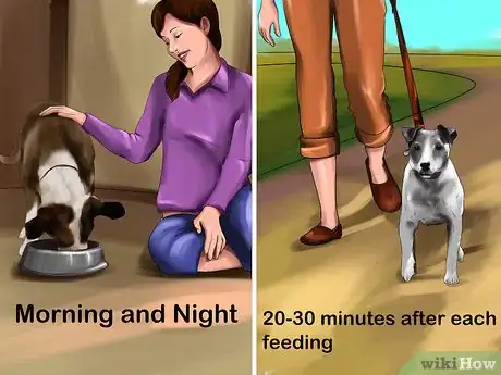 Image titled Housebreak a Dog with Positive Reinforcement Step 6