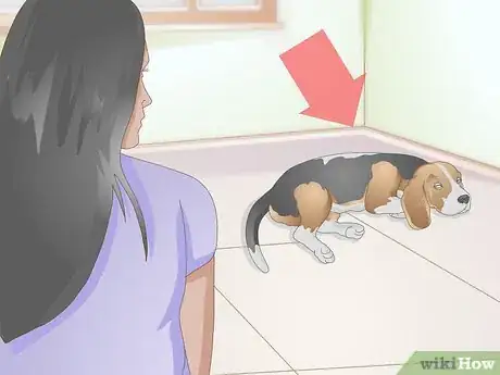 Image titled Select a Dog Bed Step 1