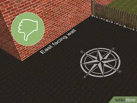 Image titled Grow Akebia Quinata Step 6