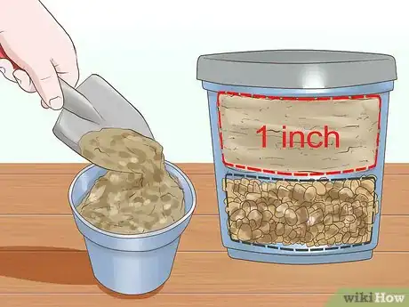 Image titled Grow a Miniature Succulent Garden Step 6