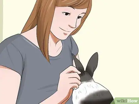 Image titled Win a Rabbit's Trust Step 11