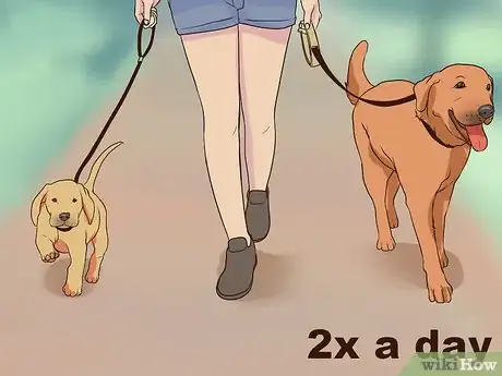 Image titled Introduce a Puppy to a Senior Dog Step 9