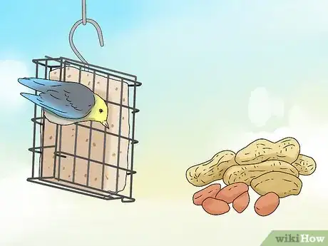 Image titled Feed Wildlife in the Autumn Step 10