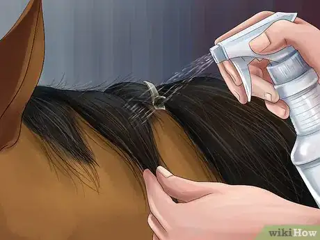 Image titled Brush the Mane of a Horse Step 8