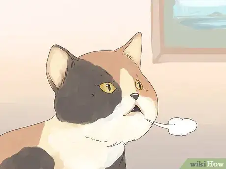 Image titled Diagnose and Treat Zinc Poisoning in Cats Step 5