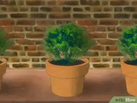 Image titled Plant Juniper Step 2