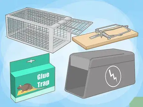 Image titled Get Rid of Rats Without Harming the Environment Step 1