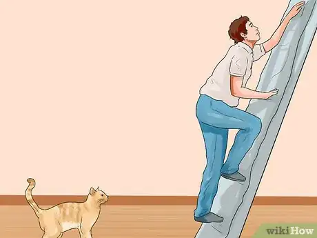 Image titled Teach a Cat to Climb a Ladder Step 4