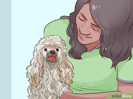 Image titled Choose a Hypoallergenic Dog Step 11