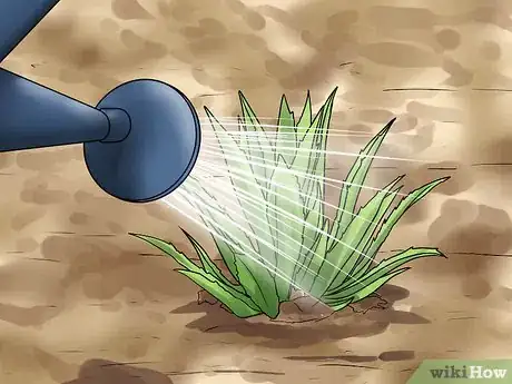 Image titled Grow Great Herbs Step 24