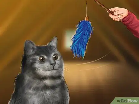 Image titled Take Care of a Selkirk Rex Step 8