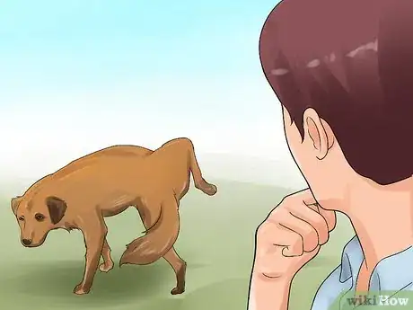 Image titled Detect Canine Bladder Stones Step 7