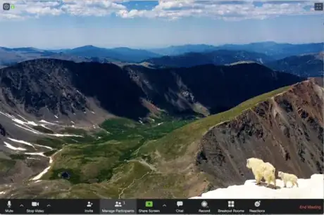 Image titled CodenamesZoomMeeting.png