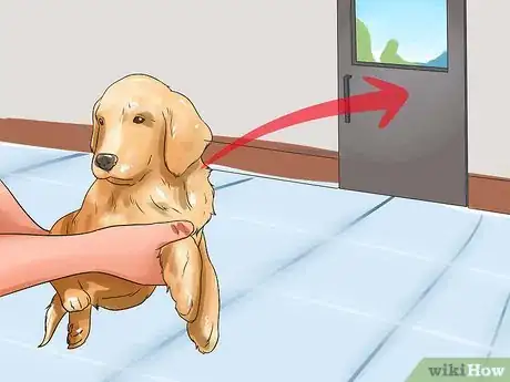 Image titled Stop Your Dog from Begging Step 7