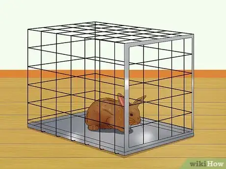 Image titled Care for Thrianta Rabbits Step 1