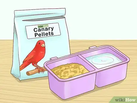 Image titled Know if a Canary Is Right for You Step 7